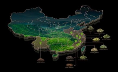 地图