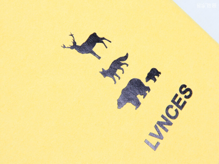 LVNCES服装包装盒Logo工艺