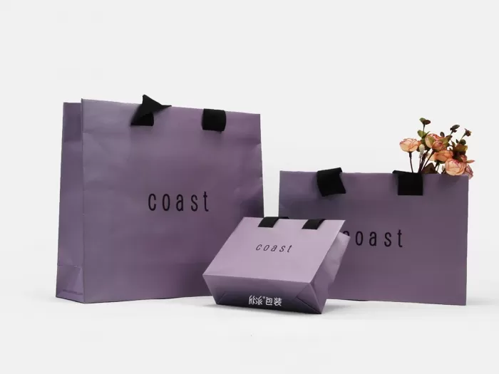 coast服装纸袋展示图